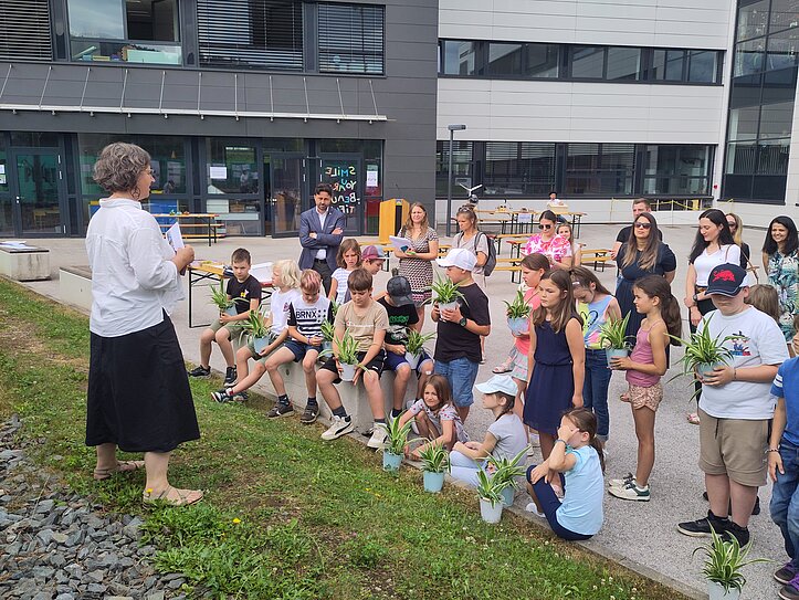 150 Grünlilien wurden eingepflanzt und an die Teilnehmer:inne ausgeteilt